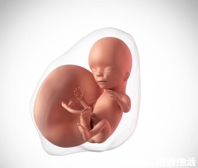 感知力|怀孕后，若孕妈有3个“特殊”表现，说明胎儿很聪明，恭喜你