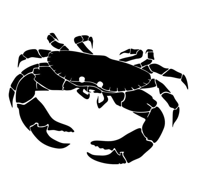 运势|1月中旬,整体运势大红大紫的星座,桃花指数无限暴涨!