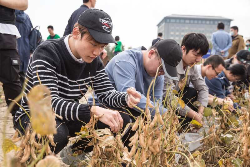 辟出|用100亩地为大一新生开设必修“种田课”，上海建桥学院辟出劳动基地，让劳动教育扎实落地