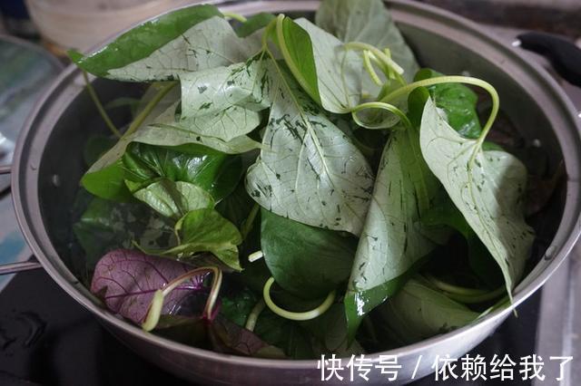 红薯芽苗|经常睡不好，眼睛干涩！春天要多吃“它”，让你一觉无梦睡天亮！