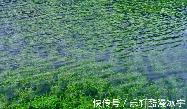 钓友|天冷口轻,浮漂没动静提竿却中鱼原因全在这3点!