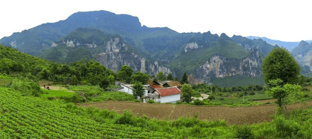 土地|老祖宗留下的旧宅基地没有证件能补办手续吗解决办法来了