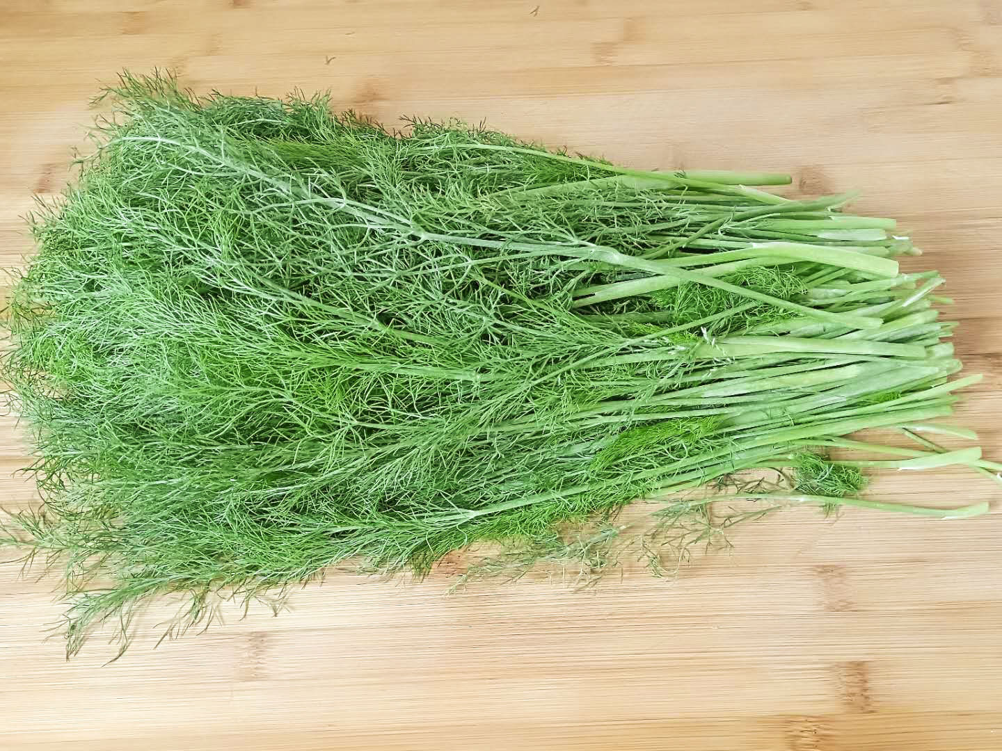 茴香|胃不好别怕,牢记1道菜,健胃养胃壮胃,肠胃越来越健康