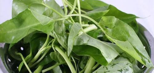 糖友|胰岛素“小金库”已公布,糖友放肆吃,血糖或慢慢返回“安全线”