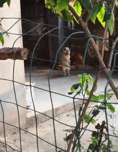 |搞笑GIF:日防夜防闺蜜难防