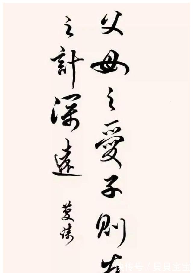 意义|白岩松:养出有生命意义的孩子,就一定要让孩子受三种苦