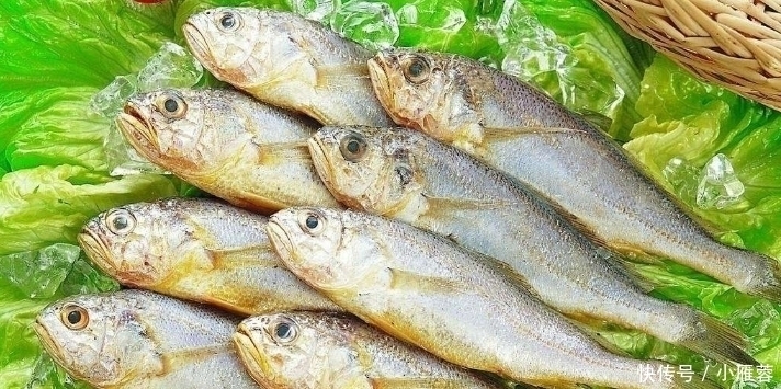 海鱼|好吃又便宜的5种海鱼，老板说：买这5种鱼的基本上都是懂鱼的行家