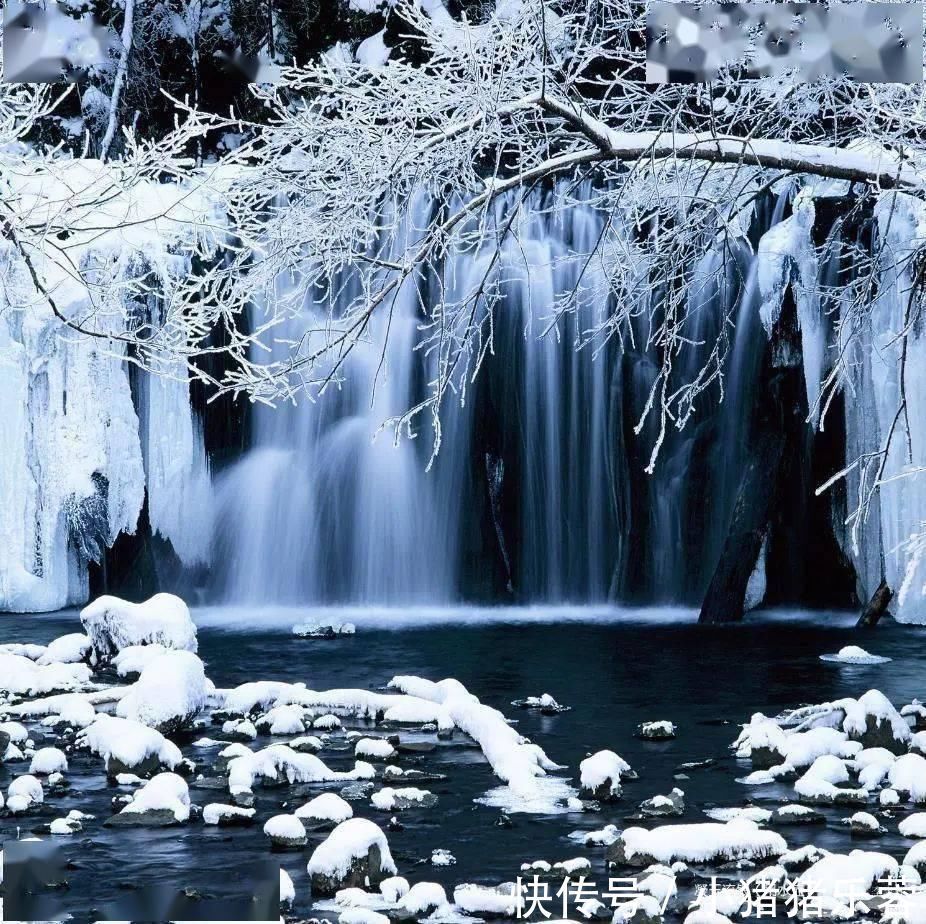 沉淀|入冬而不冻的奇观，来自“冰河”的叮咚优雅