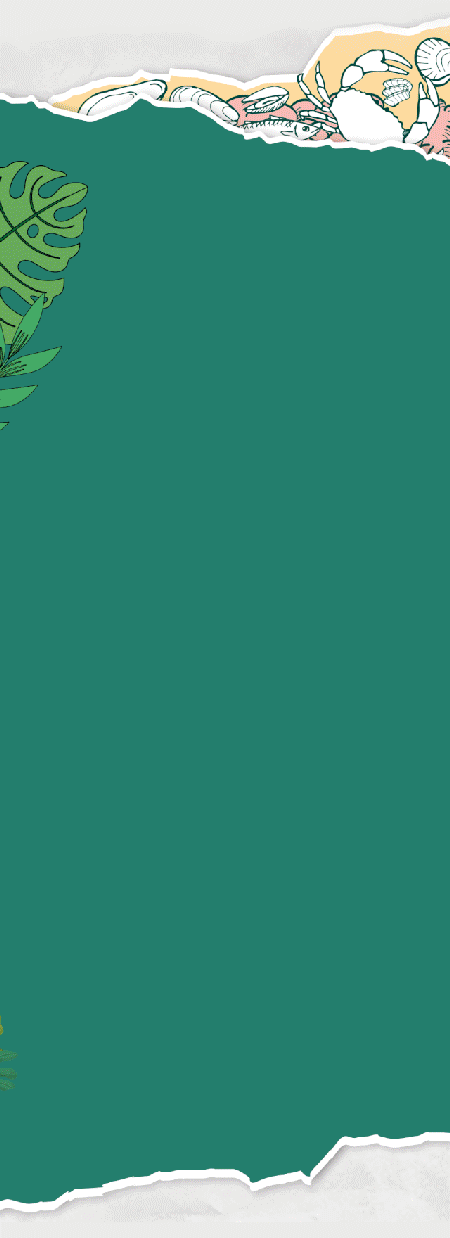 泰式|泰式海鲜火锅,100%还原普吉岛的风味