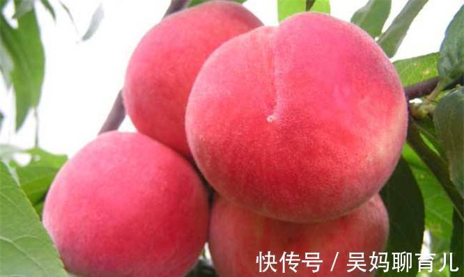 微量元素|好食物吃出好身体,3种食物不可少,保湿护肤,有益健康!