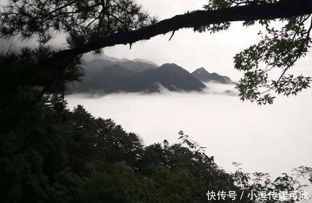 凌淑华|第一位获得诺贝尔文学奖的女子,称曾追求过徐志摩,可惜没有圆梦