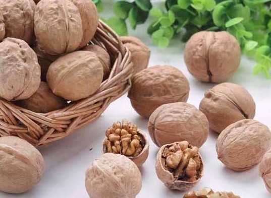 分心木|吃核桃还分“时辰”,那要早上吃还是晚上吃吃错不如不吃