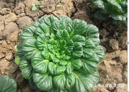 嫩肤|中年人的福音,吃以下食物,补水嫩肤,排毒消脂,气色更好