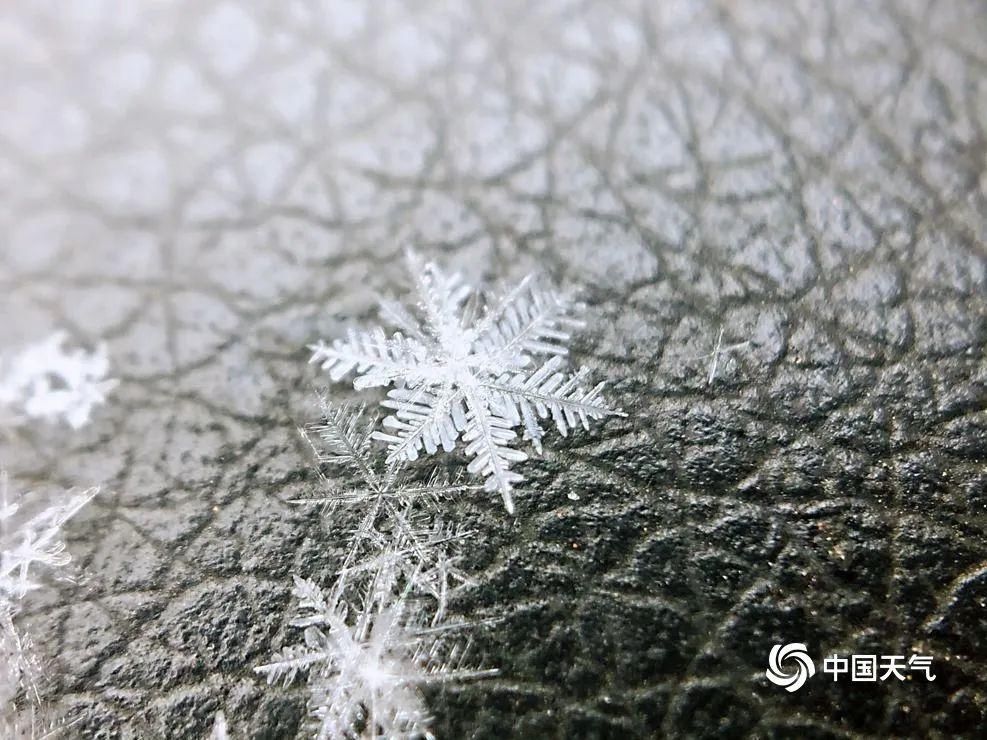 北京下雪了！故宫红墙白雪琉璃瓦美如画