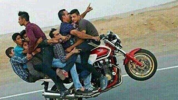 专业人士|《本田小狼与我》被专业人士‘出警’,网友:那银时他们呢