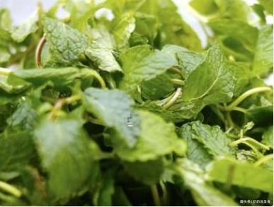 猪肉|孩子感冒咳嗽怎么办别慌!猪肉加“它”一起炒,止咳化痰防感冒