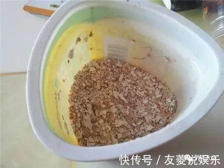 土壤|4种垃圾不会分类别担心，埋在花盆底，叶子绿得直滴油！