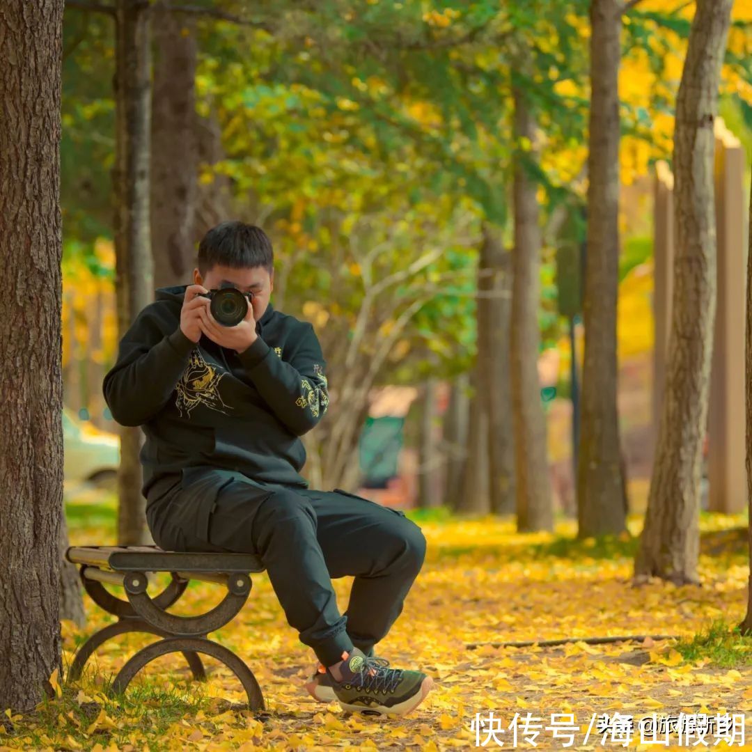 门票|河南专属于你的秋色丨银杏已黄，枫叶转红…撩人秋色等你来赏