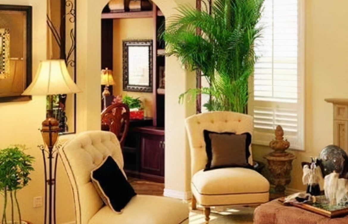 “客厅见叶，家大业大”，8种盆栽任选一种，高雅“贵气”寓意好