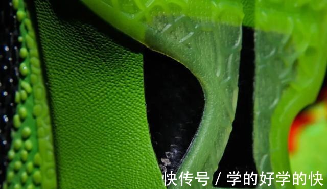 zk4 同为减配的ZK Protro系列 谁更配得上顶级后卫实战鞋！