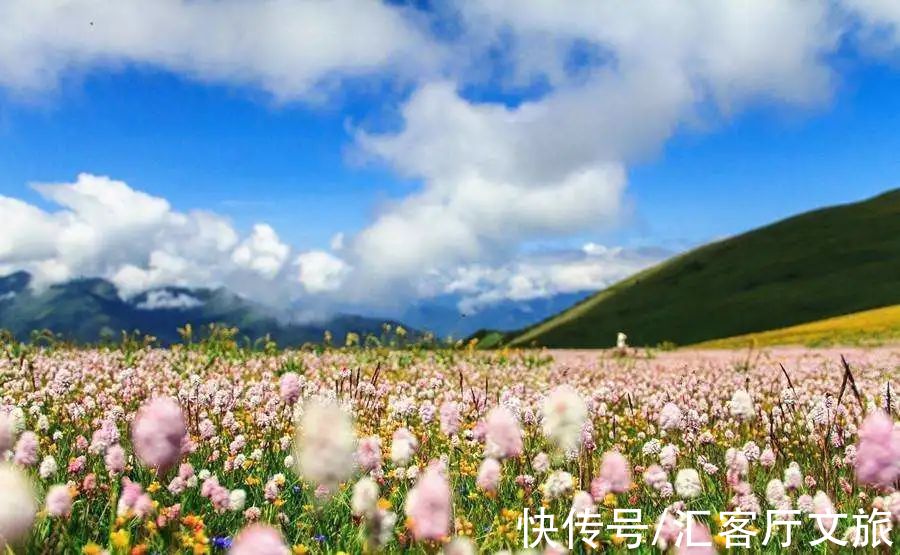 雪山|没走过一次川藏南线，就别说你了解西藏