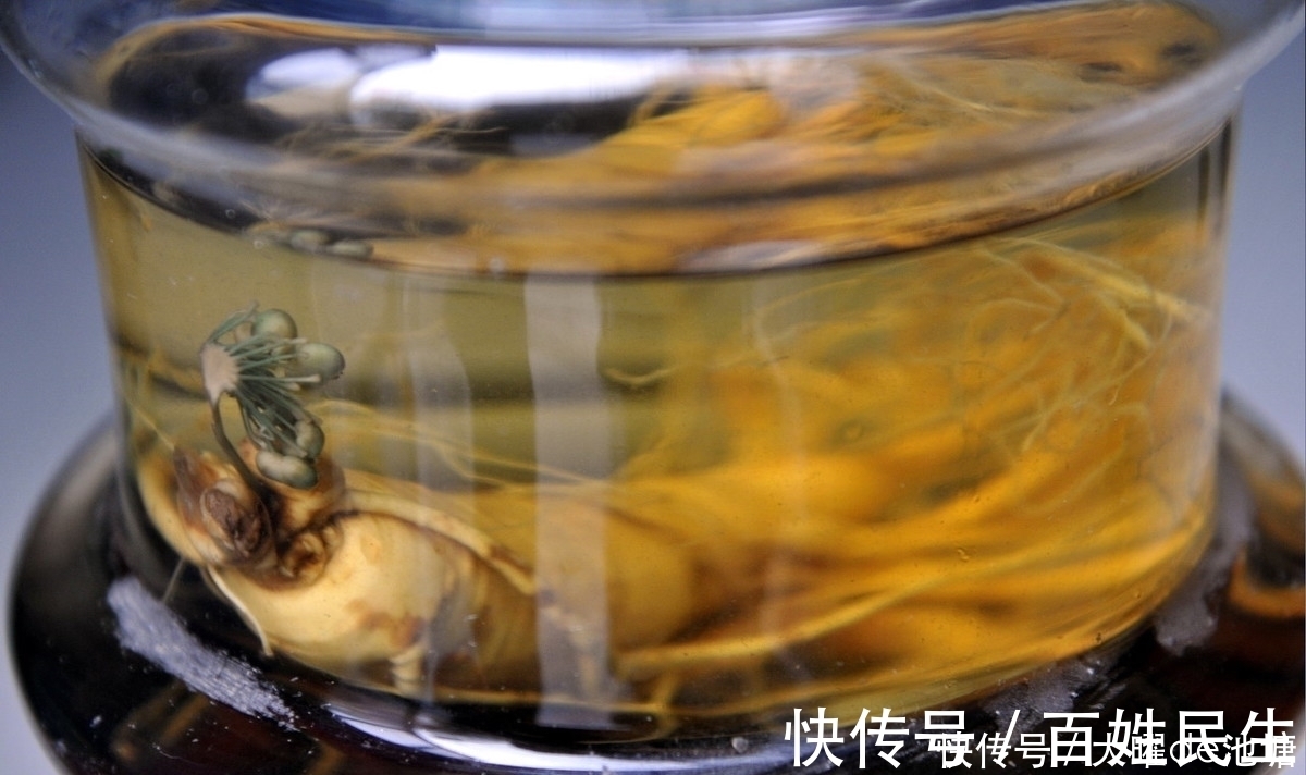 苍耳子|是药三分毒,泡药酒更要谨慎,医生提醒:4种药材严禁泡酒!