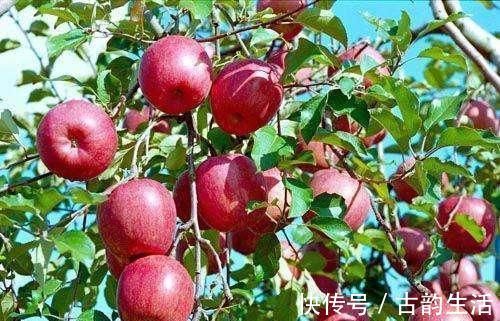 消炎|子宫垃圾的“天敌”找到了，每天吃一点，消炎排毒，年轻更美丽