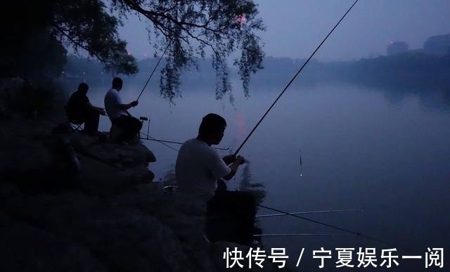 觅食|为什么夜钓时小杂鱼不闹窝？又给了我们钓鱼人什么启示？