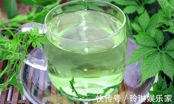 绞股蓝茶|长在路旁无人识,被誉为“百草之王”,营养价值极高,别错过!