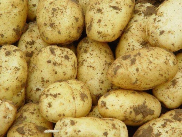 女性|女性40以后常吃“碱性食物之王”,不用化妆品,皮肤都白皙嫩滑!