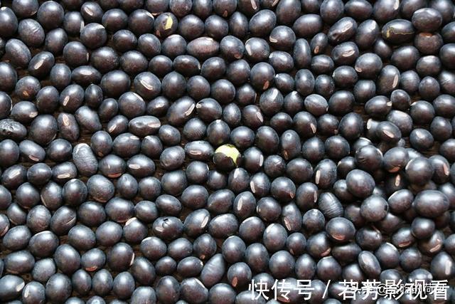 50岁姑姑吃了20年的黑豆吃法,不熬粥不泡醋,越吃越精神