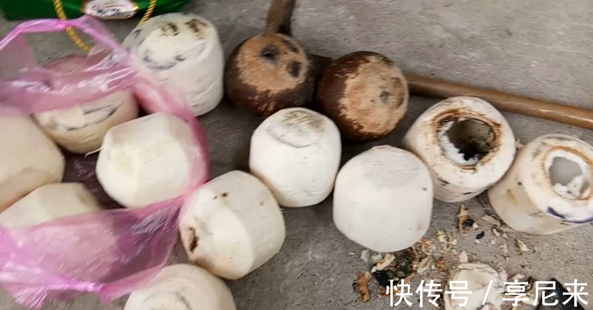 家里的垃圾别丢掉,拿来种多肉,省下一大笔钱