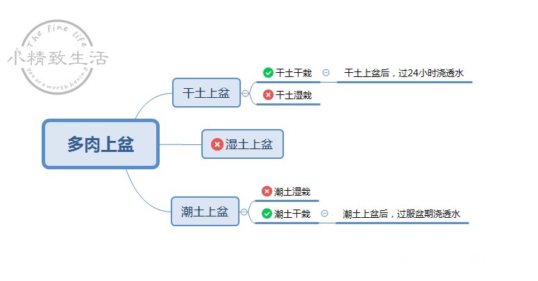 操作方法|多肉上盆，用“干土”还是“潮土”，分2种情况，1张图看清楚