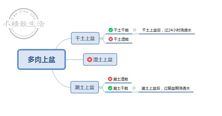 操作方法|多肉上盆,用“干土”还是“潮土”,分2种情况,1张图看清楚