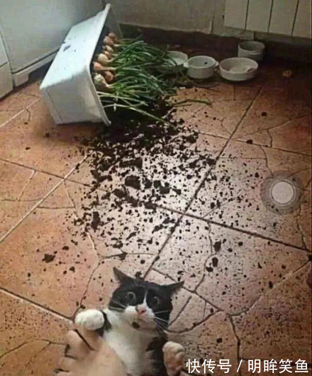 |搞笑GIF动图:这碗面实在是太辣了,把这位大哥辣得半天没缓过来