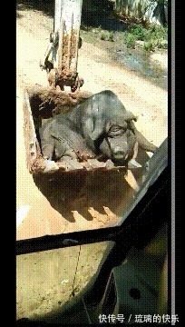 |幽默冷笑话:我们在一起三年,她讨厌我玩手机