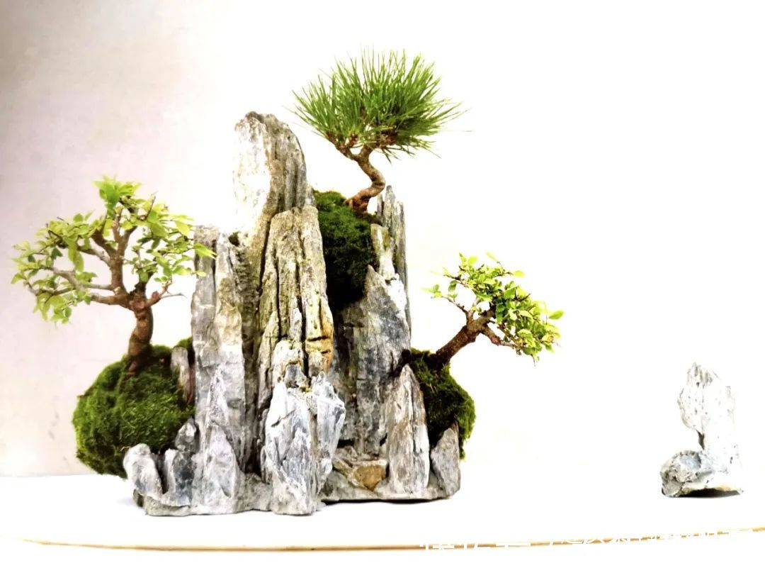 阳台上|山水盆景不是非“水”不可,看山石与树木如何演绎一道山水盆景!