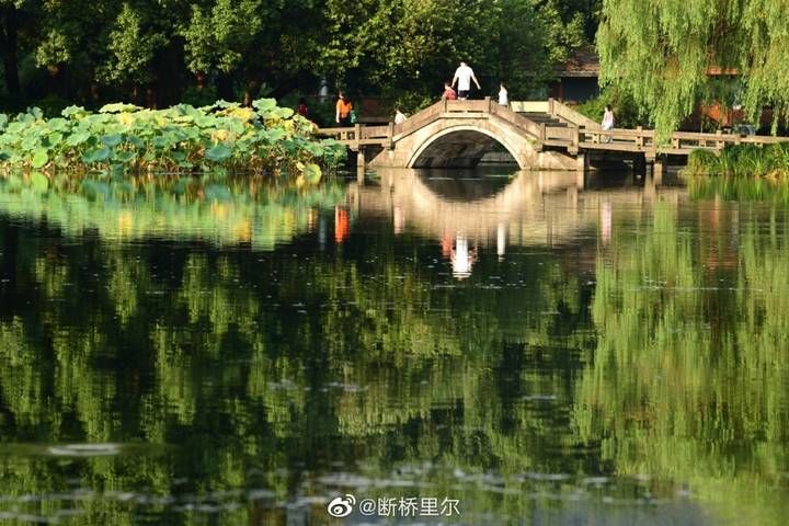 图自！今日寒露丨吃蟹的好时候到了 为什么不能“露脚”？