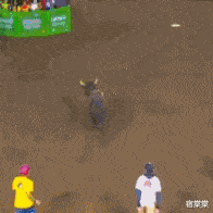 哥们 五星级酒店捡了一块表,能不能值500,有懂的伙伴儿吗