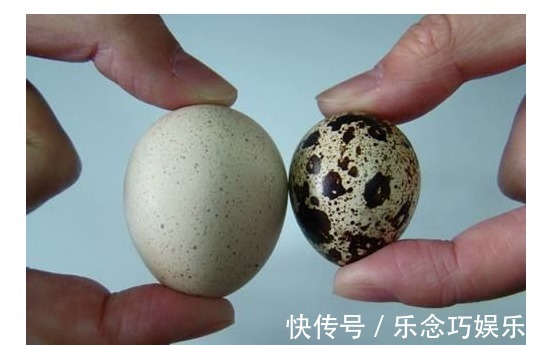 开花|一个鸡蛋养一盆花，枝繁叶茂开花很多，一年不用买花肥