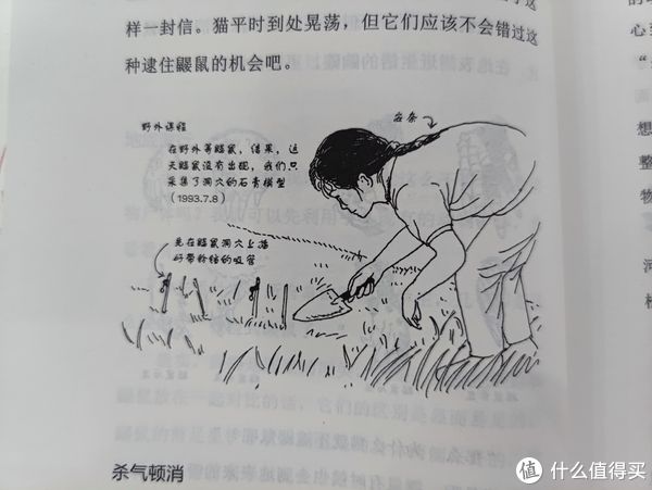 标本！图书馆猿の2021读书计划71：《何以捡君还？》