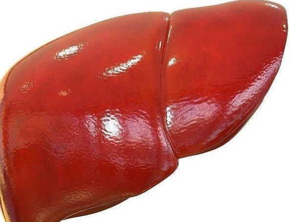 肝细胞|中医刘提醒：少吃3种“伤肝”食物，不然健康会亮起“红灯”！