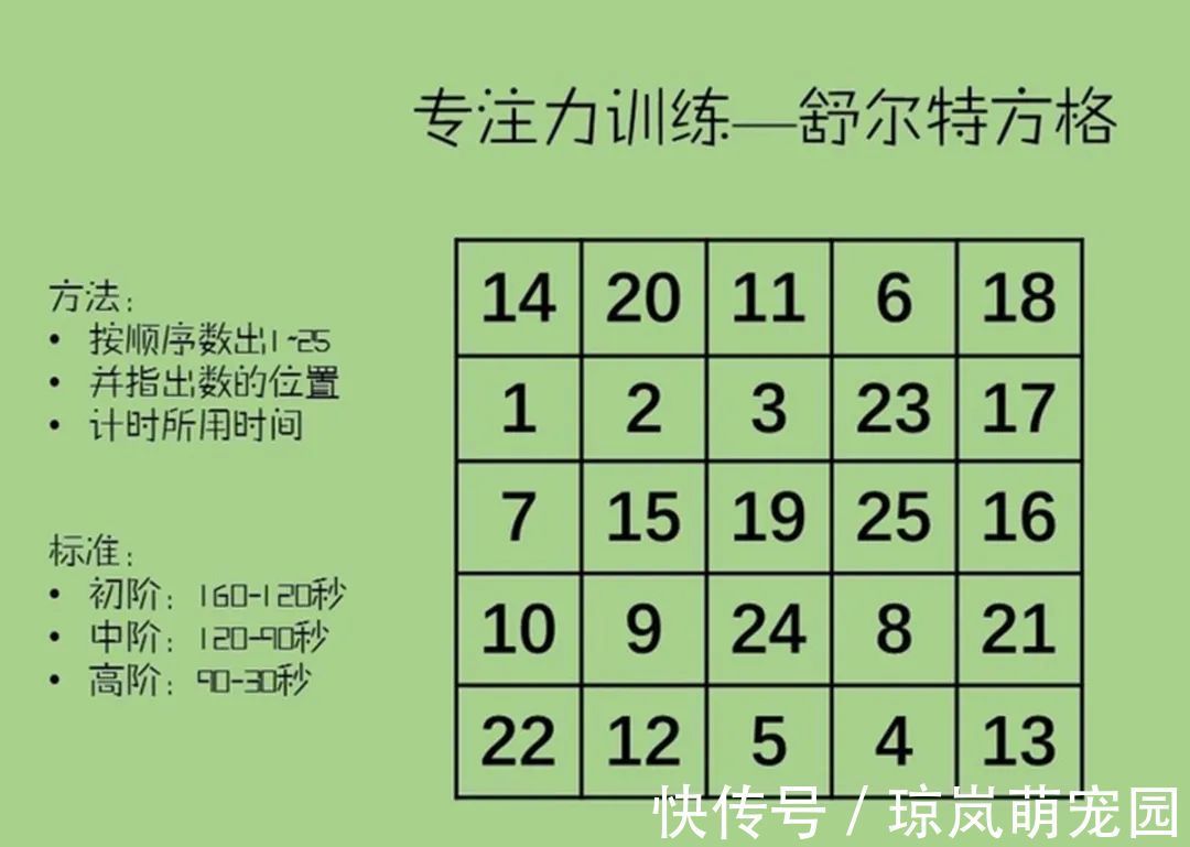 陈鹤琴|我花了9年，终于“自然地”毁掉了孩子的专注力，你可能是第2个我