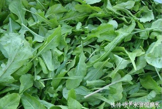 宝贝|很多人只吃种子，其实叶子才是宝贝，如今20元1斤供不应求