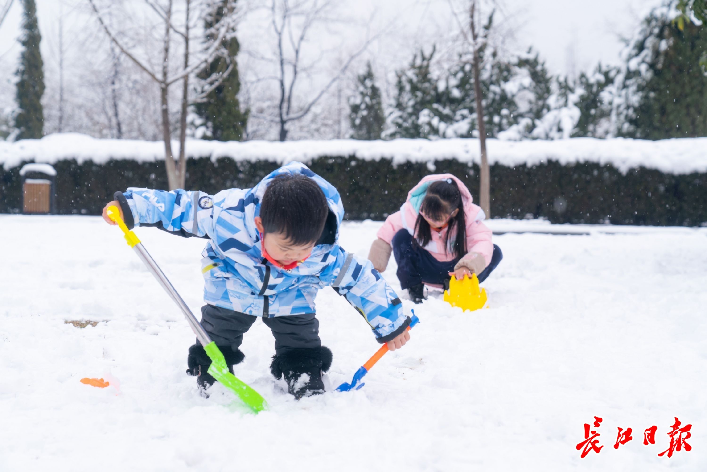 胡九思|虎年迎初雪，武汉“银装素裹”