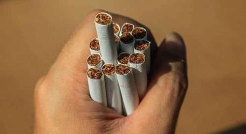 烟酒|生男生女，决定权在男性还是女性手里？不妨看看科学的解释