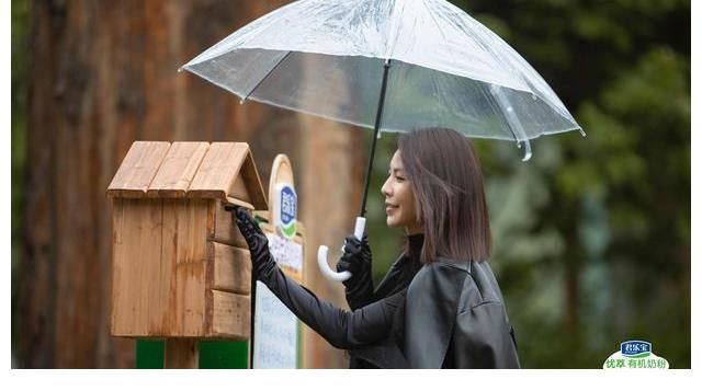 芒果打造全新音綜，僅播出三期，豆瓣評分8分，《人民日報》點(diǎn)贊