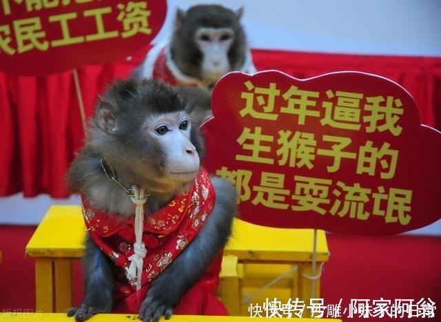 |幽默笑话:当一个护士不仅针要打的好,还要会吹