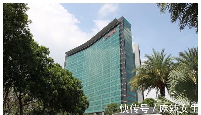 p50|华为营收急剧下滑!任正非却波澜不惊,背后隐秘力量显现