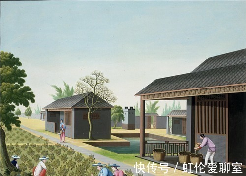 移风易俗$从中古到现代的民国时期,民间移风易俗之——废除跪拜,以茶为礼